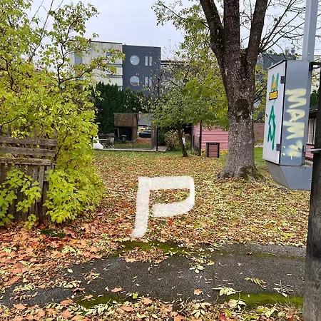 Mirror House Roosi 21 Parnu