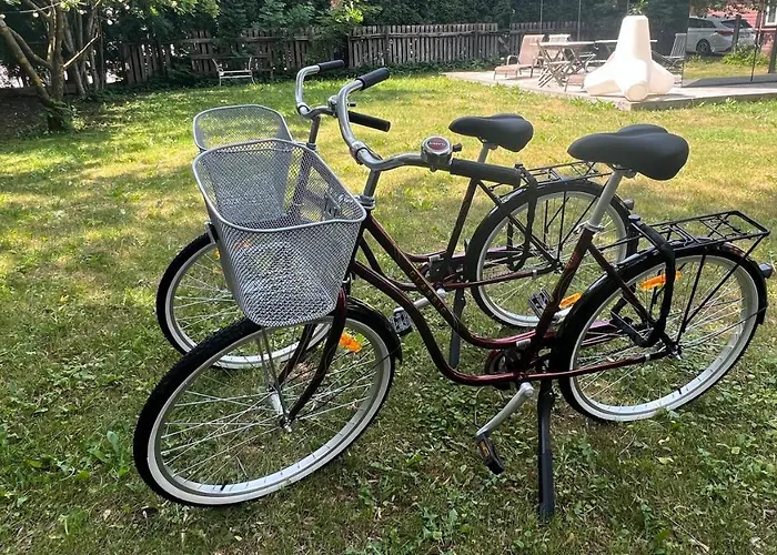 Ferienhaus Mirror House Roosi 21