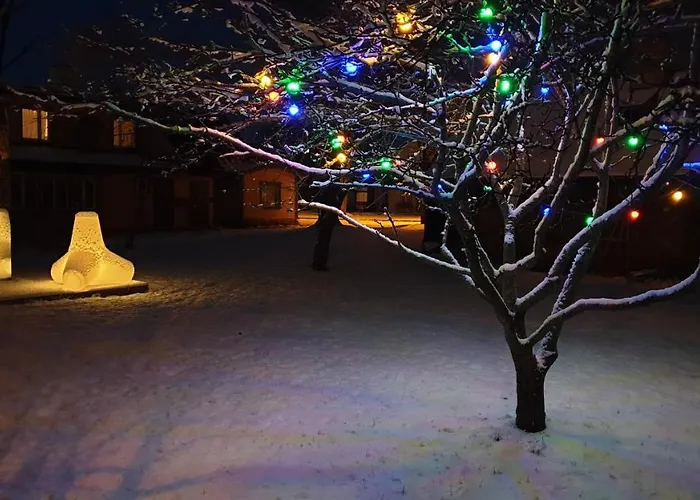 Holiday home Mirror House Roosi 21